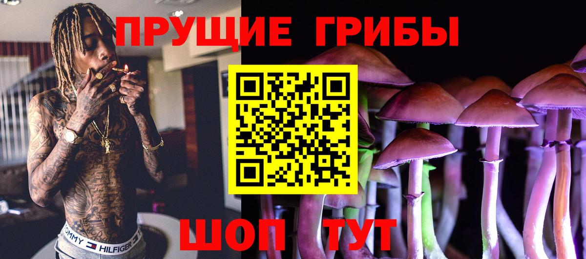 Белово  Псилоцибиновые грибы Psilocybine cubensis  Псилоцибиновые грибы мицелий  Вход с VPN 